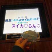 ヒメ日記 2026/03/01 06:51 投稿 らん スイカ