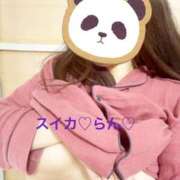 らん 本日の空き情報 スイカ