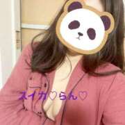 らん おはよん スイカ