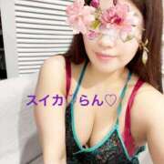 らん お礼 スイカ