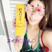 ヒメ日記 2026/03/10 17:43 投稿 らん スイカ