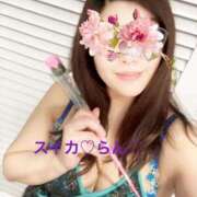 ヒメ日記 2026/03/14 19:01 投稿 らん スイカ