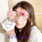 ヒメ日記 2026/03/29 20:33 投稿 らん スイカ