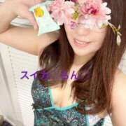 ヒメ日記 2026/03/31 06:42 投稿 らん スイカ