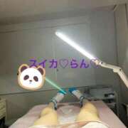 ヒメ日記 2026/05/15 15:36 投稿 らん スイカ