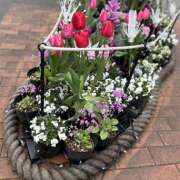 ヒメ日記 2025/03/15 02:55 投稿 ☆ゆり☆ VIP Lounge