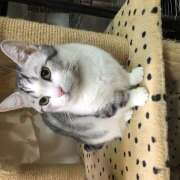 ヒメ日記 2025/03/31 23:47 投稿 ☆ゆり☆ VIP Lounge