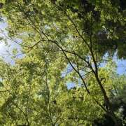 ヒメ日記 2025/05/06 23:24 投稿 ☆ゆり☆ VIP Lounge