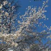 ヒメ日記 2025/04/07 10:38 投稿 あやな Candy×Candy （キャンディ×キャンディ）