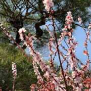 ヒメ日記 2026/03/06 07:16 投稿 あやな Candy×Candy （キャンディ×キャンディ）