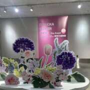 ヒメ日記 2025/03/25 13:59 投稿 平手 もも 30代40代50代と遊ぶなら博多人妻専科24時