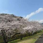 ヒメ日記 2025/03/31 09:06 投稿 平手 もも 30代40代50代と遊ぶなら博多人妻専科24時