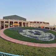 ヒメ日記 2025/03/31 09:12 投稿 平手 もも 30代40代50代と遊ぶなら博多人妻専科24時