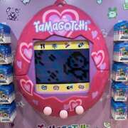 ヒメ日記 2025/06/02 12:55 投稿 平手 もも 30代40代50代と遊ぶなら博多人妻専科24時