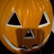 ヒメ日記 2025/10/28 11:48 投稿 平手 もも 30代40代50代と遊ぶなら博多人妻専科24時