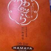 ヒメ日記 2026/01/29 12:00 投稿 平手 もも 30代40代50代と遊ぶなら博多人妻専科24時