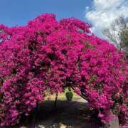 ヒメ日記 2026/02/27 19:03 投稿 平手 もも 30代40代50代と遊ぶなら博多人妻専科24時