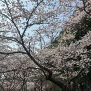 平手 もも 月末 30代40代50代と遊ぶなら博多人妻専科24時