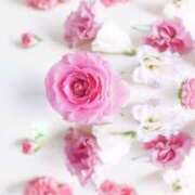 ヒメ日記 2025/03/13 13:29 投稿 ゆりあ 渋谷蘭の会