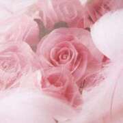 ヒメ日記 2025/03/17 13:51 投稿 ゆりあ 渋谷蘭の会