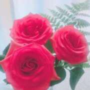 ヒメ日記 2025/04/22 14:52 投稿 ゆりあ 渋谷蘭の会