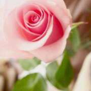 ヒメ日記 2025/04/22 17:31 投稿 ゆりあ 渋谷蘭の会