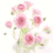 ヒメ日記 2025/04/23 07:21 投稿 ゆりあ 渋谷蘭の会