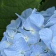 ヒメ日記 2025/06/13 21:28 投稿 ゆりあ 渋谷蘭の会