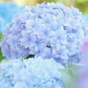 ヒメ日記 2025/06/26 13:51 投稿 ゆりあ 渋谷蘭の会