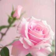 ヒメ日記 2025/06/27 16:02 投稿 ゆりあ 渋谷蘭の会