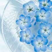 ヒメ日記 2025/07/10 15:51 投稿 ゆりあ 渋谷蘭の会