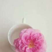 ヒメ日記 2025/07/21 20:51 投稿 ゆりあ 渋谷蘭の会