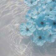 ヒメ日記 2025/07/22 07:30 投稿 ゆりあ 渋谷蘭の会