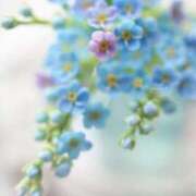 ヒメ日記 2025/08/01 11:21 投稿 ゆりあ 渋谷蘭の会