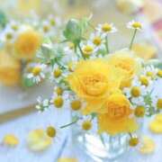 ヒメ日記 2025/08/07 09:51 投稿 ゆりあ 渋谷蘭の会