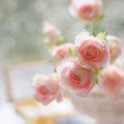 ヒメ日記 2025/08/17 00:35 投稿 ゆりあ 渋谷蘭の会