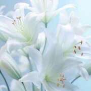 ヒメ日記 2025/10/07 12:25 投稿 ゆりあ 渋谷蘭の会