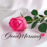 ヒメ日記 2025/11/08 07:05 投稿 ゆりあ 渋谷蘭の会