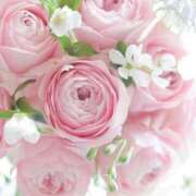 ヒメ日記 2025/11/08 14:05 投稿 ゆりあ 渋谷蘭の会