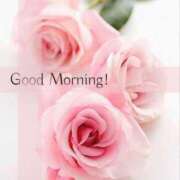 ヒメ日記 2025/11/12 08:25 投稿 ゆりあ 渋谷蘭の会