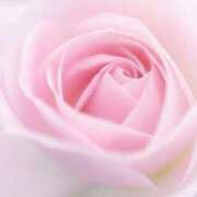 ヒメ日記 2025/11/23 09:55 投稿 ゆりあ 渋谷蘭の会