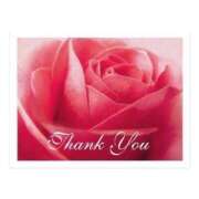 ヒメ日記 2025/11/24 23:15 投稿 ゆりあ 渋谷蘭の会