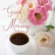 ヒメ日記 2025/11/26 07:15 投稿 ゆりあ 渋谷蘭の会