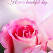 ヒメ日記 2025/12/14 07:05 投稿 ゆりあ 渋谷蘭の会