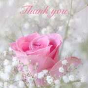 ヒメ日記 2025/12/20 17:05 投稿 ゆりあ 渋谷蘭の会