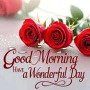 ヒメ日記 2025/12/26 07:05 投稿 ゆりあ 渋谷蘭の会