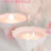 ヒメ日記 2025/12/28 21:25 投稿 ゆりあ 渋谷蘭の会