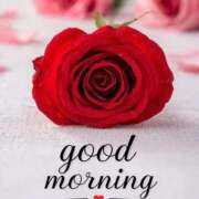 ヒメ日記 2025/12/29 07:45 投稿 ゆりあ 渋谷蘭の会