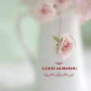 ヒメ日記 2026/01/06 07:25 投稿 ゆりあ 渋谷蘭の会