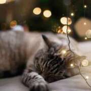 ヒメ日記 2026/01/07 23:55 投稿 ゆりあ 渋谷蘭の会